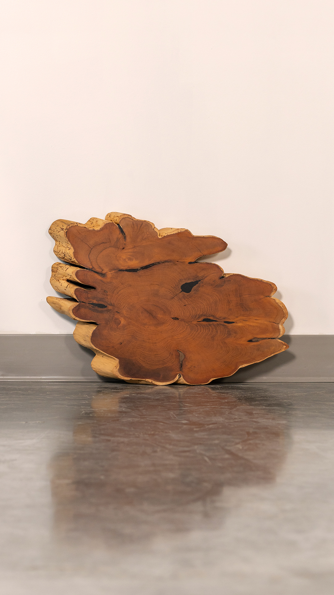 Wood Slab #14