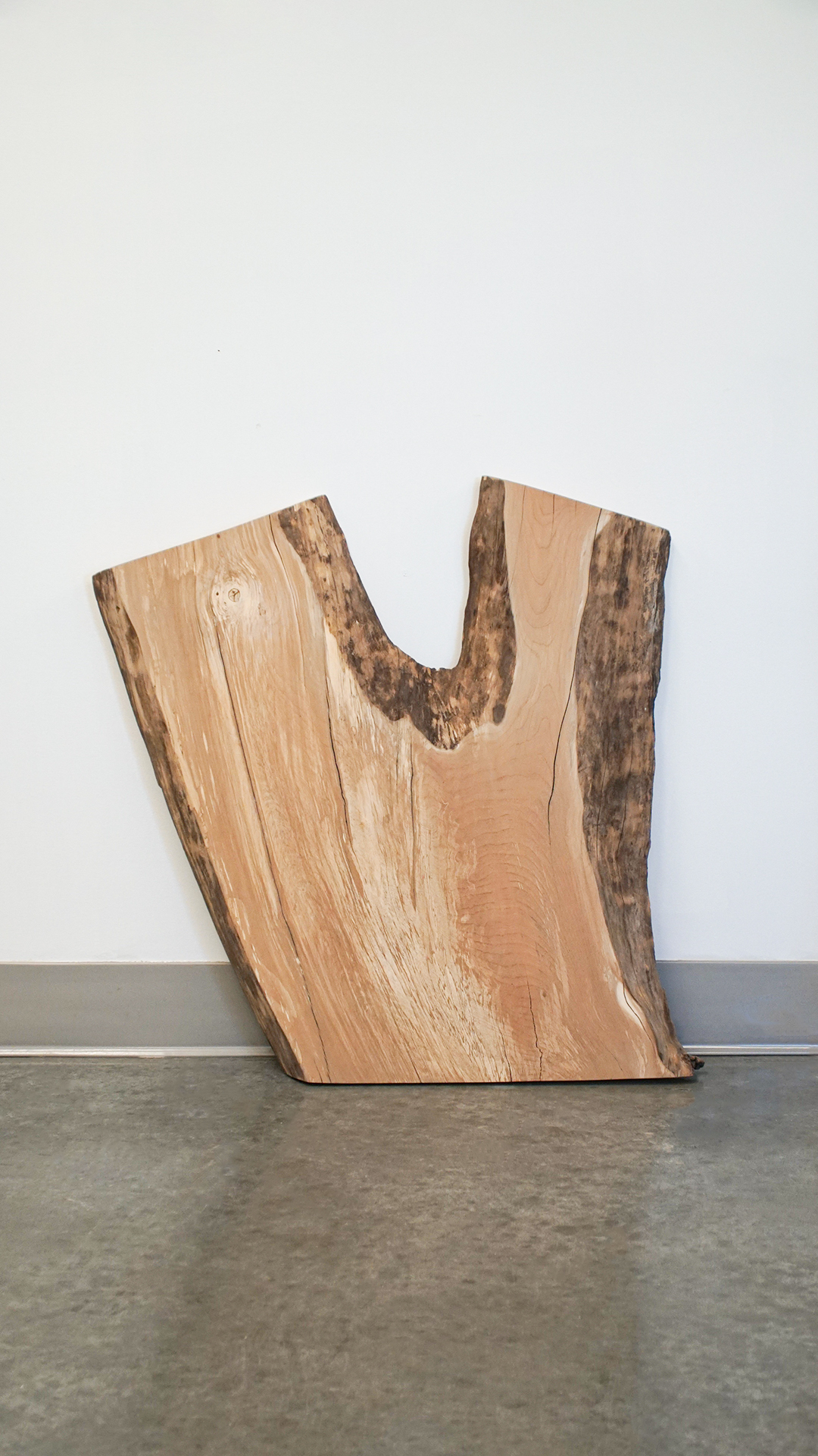 Raw Wood Slab #2